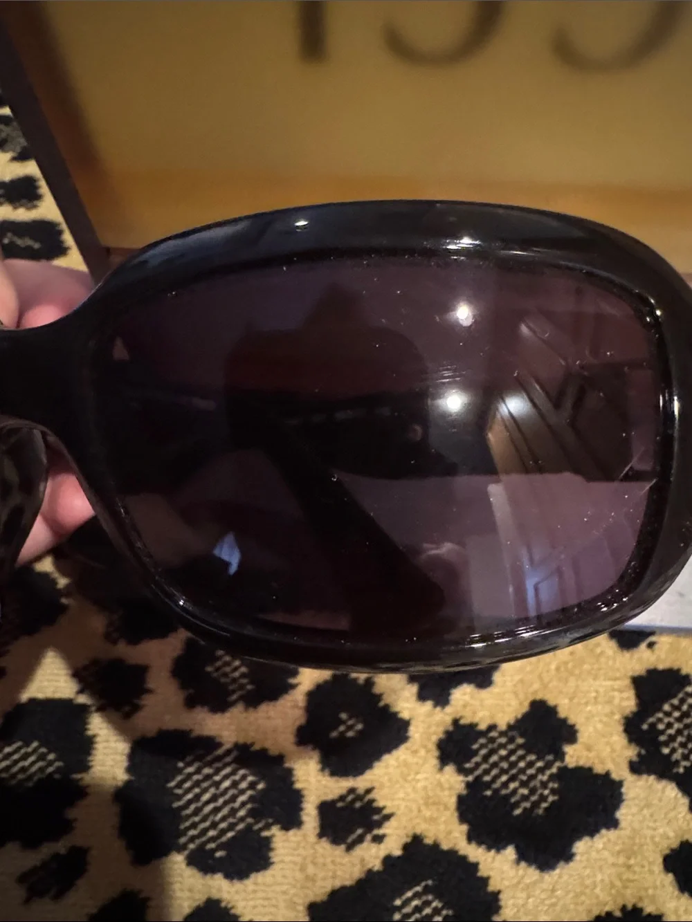 Fendi Brown Gloss Oversized Women's Sunglasses